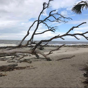 Meet your Posher, Marcia